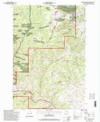Mount Thompson Montana Historical topographic map, 1:24000 scale, 7.5 X 7.5 Minute, Year 1996