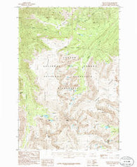 Mount Wood Montana Historical topographic map, 1:24000 scale, 7.5 X 7.5 Minute, Year 1986