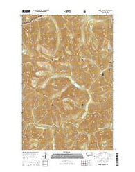 Mount Bradley Montana Current topographic map, 1:24000 scale, 7.5 X 7.5 Minute, Year 2014