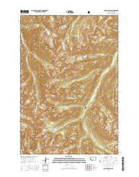 Mount Cowen Montana Current topographic map, 1:24000 scale, 7.5 X 7.5 Minute, Year 2014