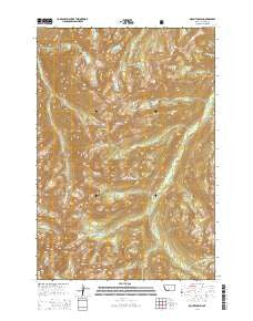 Mount Cowen Montana Current topographic map, 1:24000 scale, 7.5 X 7.5 Minute, Year 2014