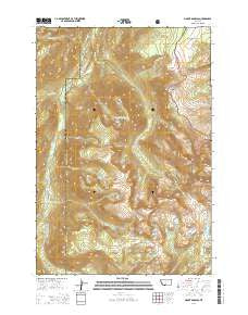 Mount Douglas Montana Current topographic map, 1:24000 scale, 7.5 X 7.5 Minute, Year 2014