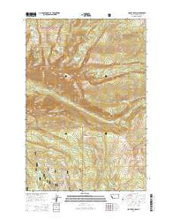 Mount Haggin Montana Current topographic map, 1:24000 scale, 7.5 X 7.5 Minute, Year 2014