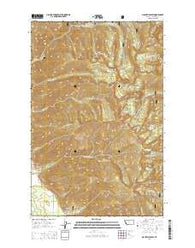 Mount Headley Montana Current topographic map, 1:24000 scale, 7.5 X 7.5 Minute, Year 2014