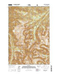 Mount Wood Montana Current topographic map, 1:24000 scale, 7.5 X 7.5 Minute, Year 2014