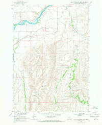 Mountain Pocket Creek Montana Historical topographic map, 1:24000 scale, 7.5 X 7.5 Minute, Year 1964