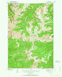 Mt Cowen Montana Historical topographic map, 1:62500 scale, 15 X 15 Minute, Year 1940