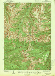 Mt Cowen Montana Historical topographic map, 1:62500 scale, 15 X 15 Minute, Year 1943