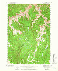 Mt Wallace Montana Historical topographic map, 1:62500 scale, 15 X 15 Minute, Year 1940
