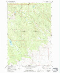 Mussigbrod Lake Montana Historical topographic map, 1:24000 scale, 7.5 X 7.5 Minute, Year 1977