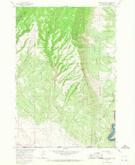 Mystery Cave Montana Historical topographic map, 1:24000 scale, 7.5 X 7.5 Minute, Year 1964