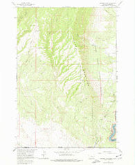 Mystery Cave Montana Historical topographic map, 1:24000 scale, 7.5 X 7.5 Minute, Year 1964