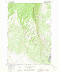Mystery Cave Montana Historical topographic map, 1:24000 scale, 7.5 X 7.5 Minute, Year 1964