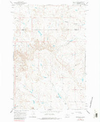Needle Butte Montana Historical topographic map, 1:24000 scale, 7.5 X 7.5 Minute, Year 1965