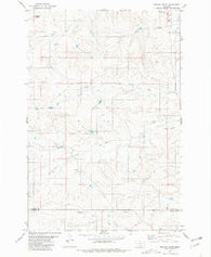 Nelson Butte Montana Historical topographic map, 1:24000 scale, 7.5 X 7.5 Minute, Year 1981
