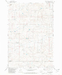 Nelson Butte Montana Historical topographic map, 1:24000 scale, 7.5 X 7.5 Minute, Year 1981