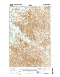 Nelson Creek Bay Montana Current topographic map, 1:24000 scale, 7.5 X 7.5 Minute, Year 2014