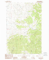 New Year Montana Historical topographic map, 1:24000 scale, 7.5 X 7.5 Minute, Year 1985
