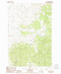 New Year Montana Historical topographic map, 1:24000 scale, 7.5 X 7.5 Minute, Year 1985