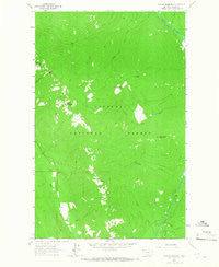 Newton Mountain Montana Historical topographic map, 1:24000 scale, 7.5 X 7.5 Minute, Year 1963