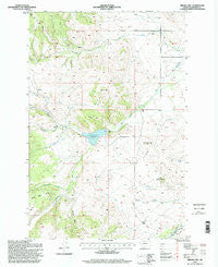 Nirling Hill Montana Historical topographic map, 1:24000 scale, 7.5 X 7.5 Minute, Year 1996