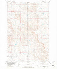 North Fork Alkali Creek Montana Historical topographic map, 1:24000 scale, 7.5 X 7.5 Minute, Year 1981