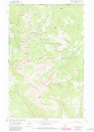 Northwest Peak Montana Historical topographic map, 1:24000 scale, 7.5 X 7.5 Minute, Year 1963