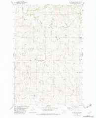 Odland Dam NW Montana Historical topographic map, 1:24000 scale, 7.5 X 7.5 Minute, Year 1982