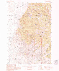 Old Baldy Mountain Montana Historical topographic map, 1:24000 scale, 7.5 X 7.5 Minute, Year 1989