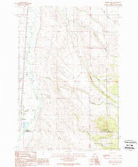 Orofino Creek Montana Historical topographic map, 1:24000 scale, 7.5 X 7.5 Minute, Year 1989