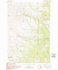Orofino Mountain Montana Historical topographic map, 1:24000 scale, 7.5 X 7.5 Minute, Year 1989