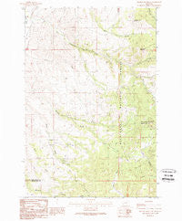 Orofino Mountain Montana Historical topographic map, 1:24000 scale, 7.5 X 7.5 Minute, Year 1989