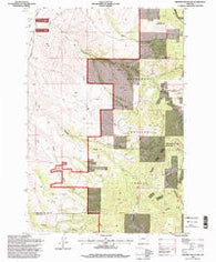 Orofino Mountain Montana Historical topographic map, 1:24000 scale, 7.5 X 7.5 Minute, Year 1996