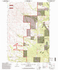 Orofino Mountain Montana Historical topographic map, 1:24000 scale, 7.5 X 7.5 Minute, Year 1996