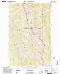 Our Lake Montana Historical topographic map, 1:24000 scale, 7.5 X 7.5 Minute, Year 1995