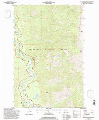 Pagoda Mountain Montana Historical topographic map, 1:24000 scale, 7.5 X 7.5 Minute, Year 1994