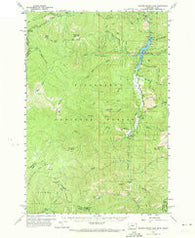 Painted Rocks Lake Montana Historical topographic map, 1:62500 scale, 15 X 15 Minute, Year 1960