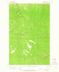 Parsnip Mountain Montana Historical topographic map, 1:24000 scale, 7.5 X 7.5 Minute, Year 1963