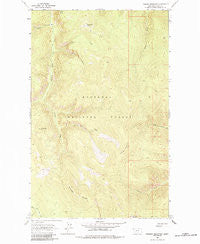 Parsnip Mountain Montana Historical topographic map, 1:24000 scale, 7.5 X 7.5 Minute, Year 1963