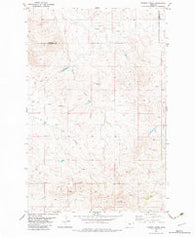 Parson Creek Montana Historical topographic map, 1:24000 scale, 7.5 X 7.5 Minute, Year 1982