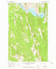Patricks Basin Montana Historical topographic map, 1:24000 scale, 7.5 X 7.5 Minute, Year 1958