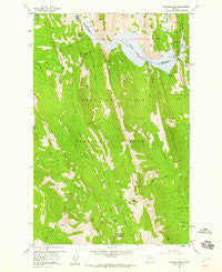Patricks Basin Montana Historical topographic map, 1:24000 scale, 7.5 X 7.5 Minute, Year 1958
