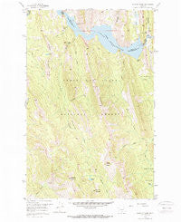 Patricks Basin Montana Historical topographic map, 1:24000 scale, 7.5 X 7.5 Minute, Year 1958
