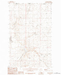 Pea Lake Montana Historical topographic map, 1:24000 scale, 7.5 X 7.5 Minute, Year 1984