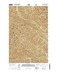 Penrose Peak Montana Current topographic map, 1:24000 scale, 7.5 X 7.5 Minute, Year 2014