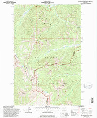 Pentagon Mountain Montana Historical topographic map, 1:24000 scale, 7.5 X 7.5 Minute, Year 1994