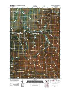 Peterson Lake Montana Historical topographic map, 1:24000 scale, 7.5 X 7.5 Minute, Year 2011