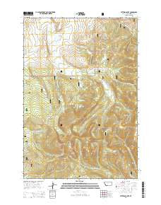 Peterson Lake Montana Current topographic map, 1:24000 scale, 7.5 X 7.5 Minute, Year 2014