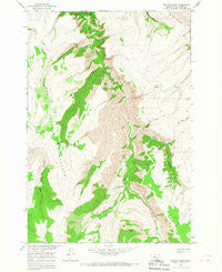 Peyote Point Montana Historical topographic map, 1:24000 scale, 7.5 X 7.5 Minute, Year 1964