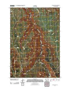 Peyote Point Montana Historical topographic map, 1:24000 scale, 7.5 X 7.5 Minute, Year 2011